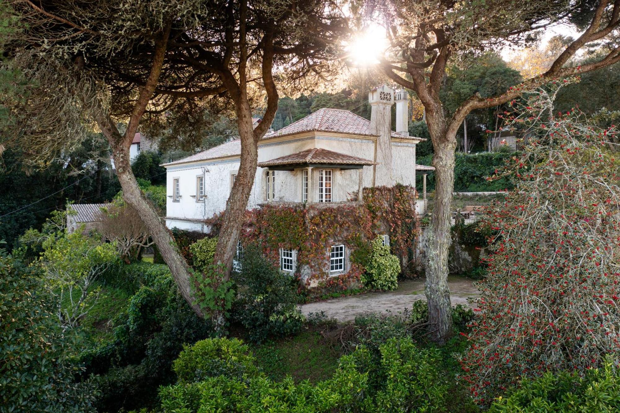 Chalet Chapeu De Sol - Sintra Exterior photo